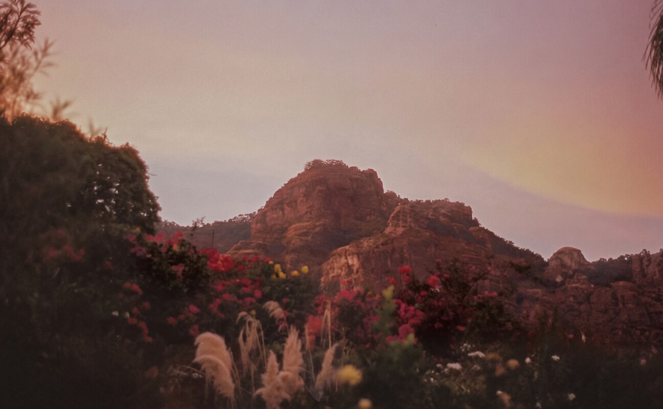 Tepozteco mountain at dusk above flowering gardens in Tepoztlán, Mexico